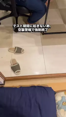 ハビブ達のTikTok投稿