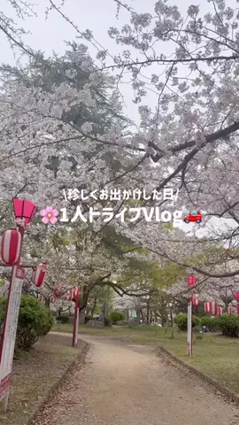 LalaのTikTok投稿