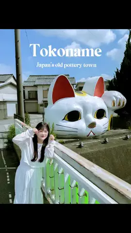 vivisan.JapanのTikTok投稿
