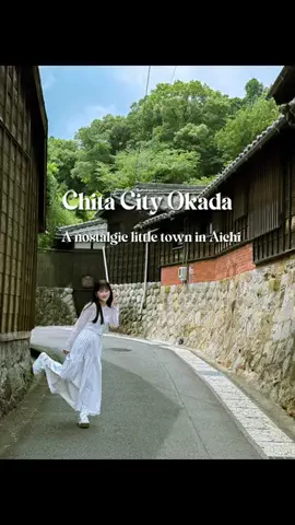 vivisan.JapanのTikTok投稿