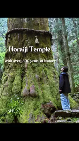 vivisan.JapanのTikTok投稿