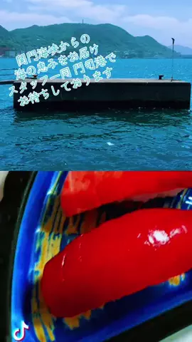 門司港カジュアルレストラン【Sea Grace】のTikTok PR投稿：お散歩日和の門司港🌈 沢山の海鮮料理をご用意して、お…