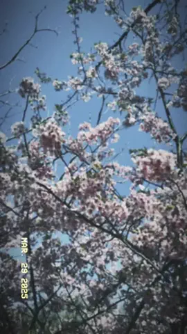 複雑のTikTok投稿