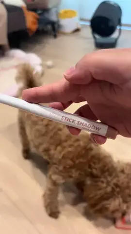 マルプーちゃちゃ🧸おかいものログ🛒のTikTok投稿