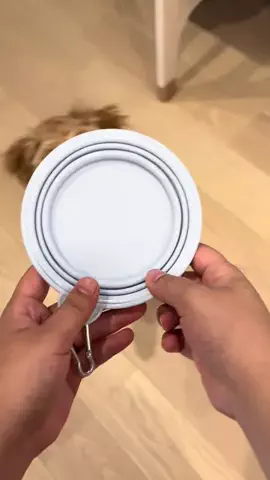 マルプーちゃちゃ🧸おかいものログ🛒のTikTok投稿