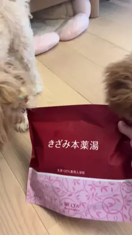 マルプーちゃちゃ🧸おかいものログ🛒のTikTok投稿