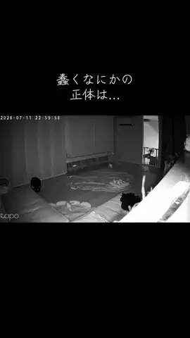 マルプーちゃちゃ🧸おかいものログ🛒のTikTok投稿