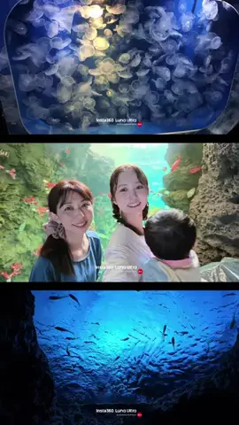 まつきりな🌞のTikTok投稿