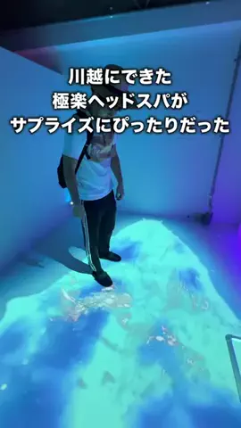 にーしゃ✎𓂃ほのぼの埼玉旅𓂃のTikTok投稿