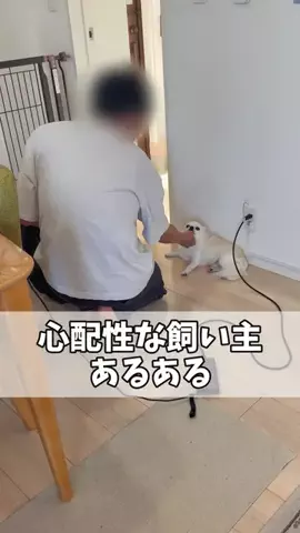 うみが食べるだけのTikTok投稿