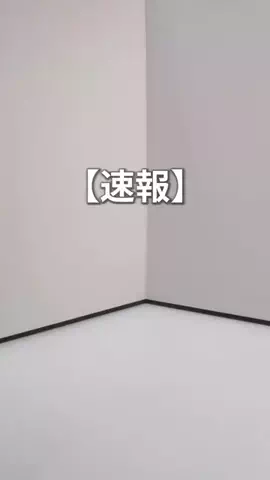 匠のモバイルレビューのTikTok投稿