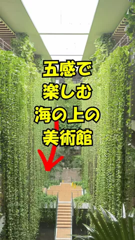 おっきー 🍍沖縄人のTikTok投稿