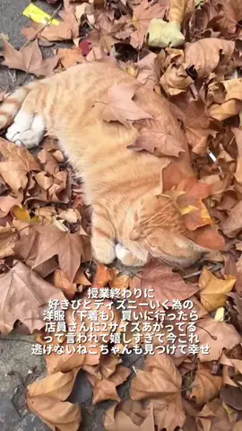ヒカル｜男の磨き場のTikTok投稿