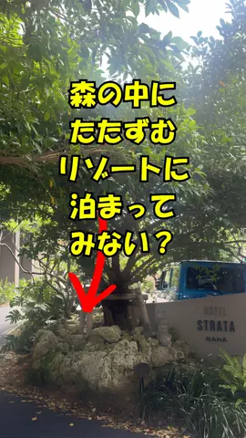おっきー 🍍沖縄人のTikTok投稿