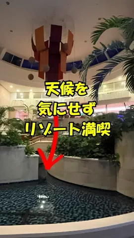 おっきー 🍍沖縄人のTikTok投稿