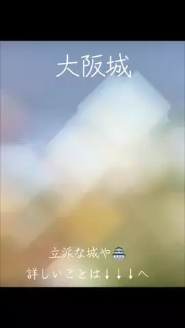 ロバート(ディエゴヴェラスケス)のTikTok投稿