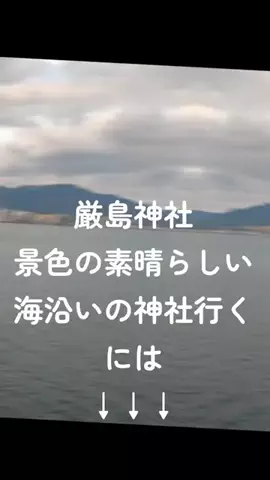 ロバート(ディエゴヴェラスケス)のTikTok投稿