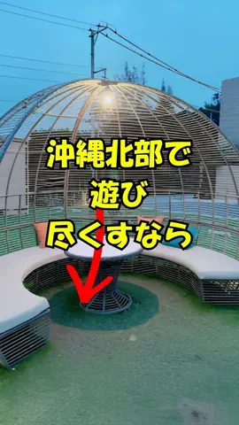 おっきー 🍍沖縄人のTikTok投稿