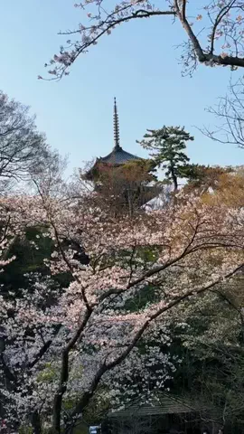 MinacoのTikTok投稿
