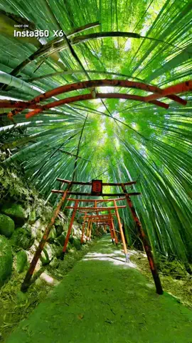 Japan WalkerのTikTok PR投稿：Yanai Inari Shrine (Yamaguchi) / 柳井稲村神社⛩️ The newly released …