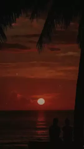 ひみ子𓅷のTikTok投稿