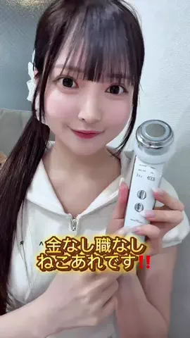 ねこあれのTikTok投稿