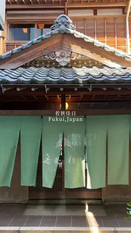 しずくのTikTok投稿