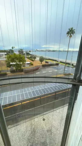 CáのTikTok投稿
