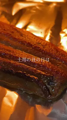 🎀sakiのバズログ🎀のTikTok投稿