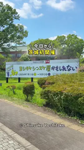 茨城ガイド📕あせこ【お出かけ・グルメ・観光・イベント】のTikTok投稿