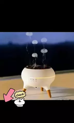 カズのTikTok投稿