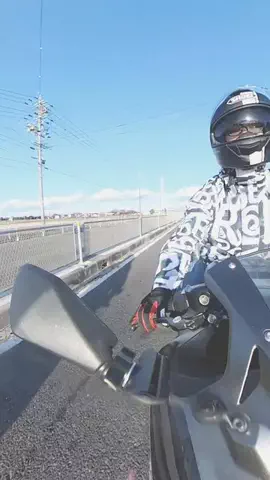 CáのTikTok投稿