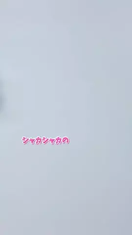 おつこのTikTok投稿