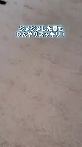 ぱきみちゃ（空美夕日）のTikTok投稿