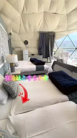 LittleBamboo.lsのTikTok投稿
