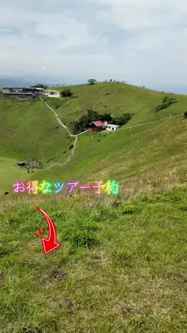 LittleBamboo.lsのTikTok投稿
