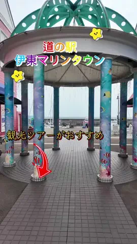 LittleBamboo.lsのTikTok投稿