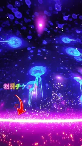 LittleBamboo.lsのTikTok投稿