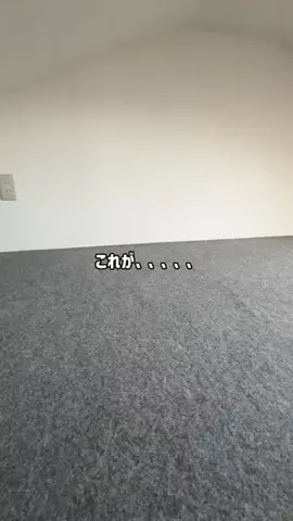 グミのTikTok投稿