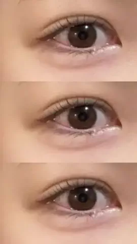 🐻のTikTok投稿