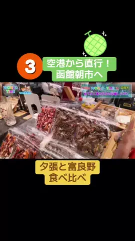 【エンタメ】NakagaWorld/TikTokのTikTok投稿
