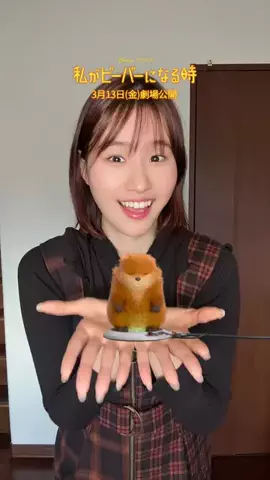 Atsumi🧸🥁のTikTok投稿
