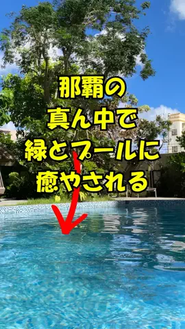 おっきー 🍍沖縄人のTikTok投稿