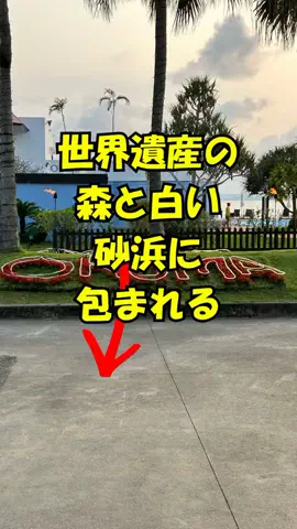 おっきー 🍍沖縄人のTikTok投稿