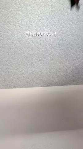 user78992236393のTikTok投稿