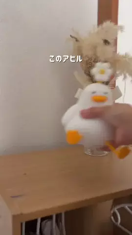 ままぴぃのTikTok投稿