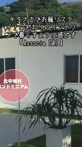 zuenmeiのTikTok投稿