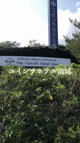 zuenmeiのTikTok投稿