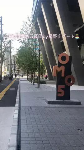 zuenmeiのTikTok投稿