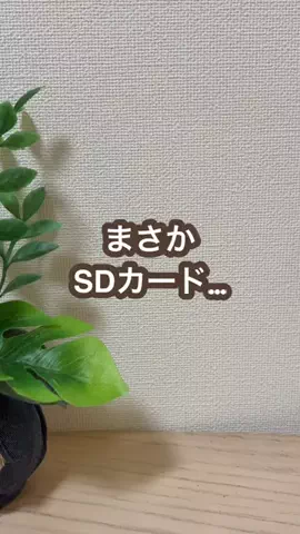 こあら博士| iPhone活用術🐨のTikTok投稿